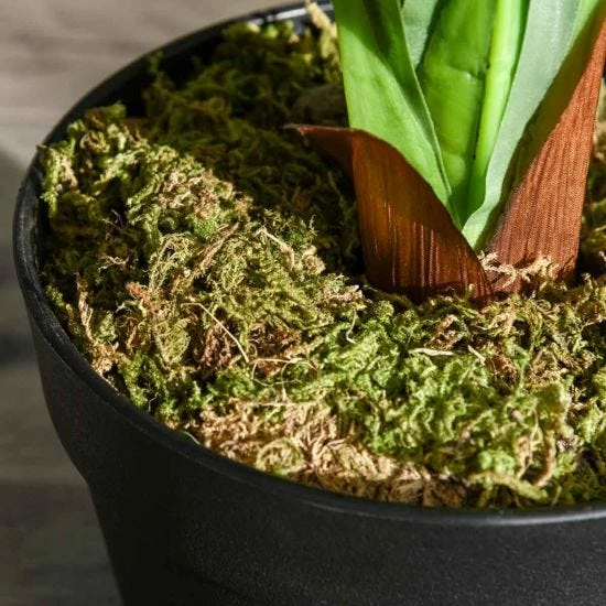 110 Cm Artificial Dracaena Plant 5 110 Cm Artificial Dracaena Plant - Image 3