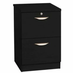 R White Filing Cabinet 2 Drawer B-2DF H728xW479xD540mm 19 R White Filing Cabinet 2 Drawer B-2DF H728xW479xD540mm -office furniture shop 1020800105