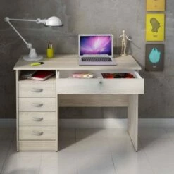 Function Plus Desk 5 Drawers 17 Function Plus Desk 5 Drawers -office furniture shop 1028000359 7