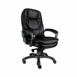 Eliza Tinsley Leather Executive Office Chair Black 7 Eliza Tinsley Leather Executive Office Chair Black -office furniture shop 1075200082