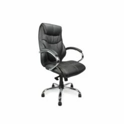 Eliza Tinsley High Back Executive Chair Black