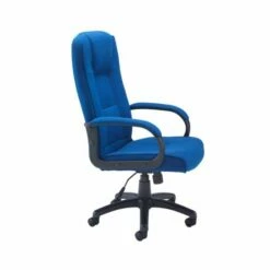 TC Office Keno Executive Fabric Chair With Padded Arms -office furniture shop 1096070274 2