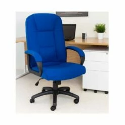 TC Office Keno Executive Fabric Chair With Padded Arms -office furniture shop 1096070274 5