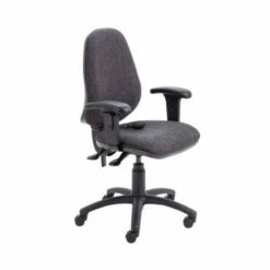 TC Office Calypso Twin Lever Ergonomic Chair With Lumber Pump And Height Adjustable Arms