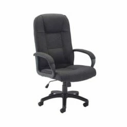 TC Office Keno Executive Fabric Chair With Padded Arms -office furniture shop 1096070348 1