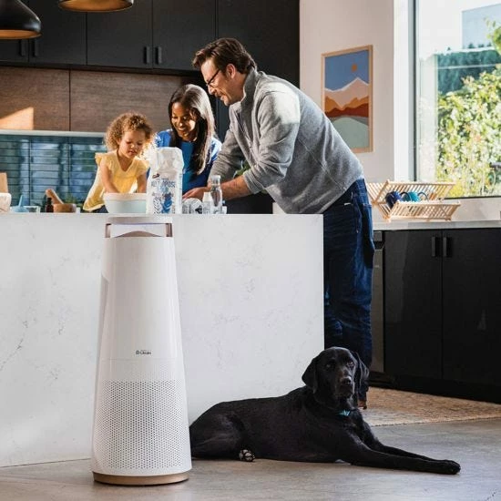 DH Lifelabs Aaira WIFI Air Purifier And HEPA In White 8 DH Lifelabs Aaira WIFI Air Purifier And HEPA In White - Image 6